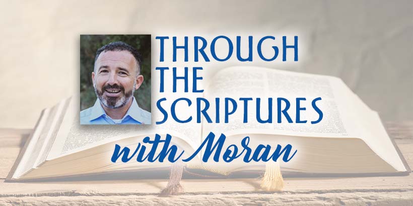 Shabbat Shalom: Insights on the Weekly Torah Portion From the Heart of  Biblical Israel